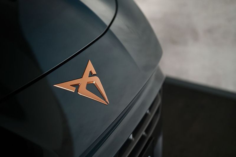 Cupra Terramar VZ 2.0TSI 195kW Web Taž ZÁRUKA - fotka 10 z 34
