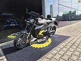 Can-Am (2025) Pulse - náhled 8