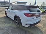 Škoda Kodiaq RS 2,0 TSI 195kW DSG 4x4, weba - náhled 7