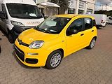 Fiat Panda (2026) Pandina Icon 1.0 BSG Hybrid 65 - náhled 1