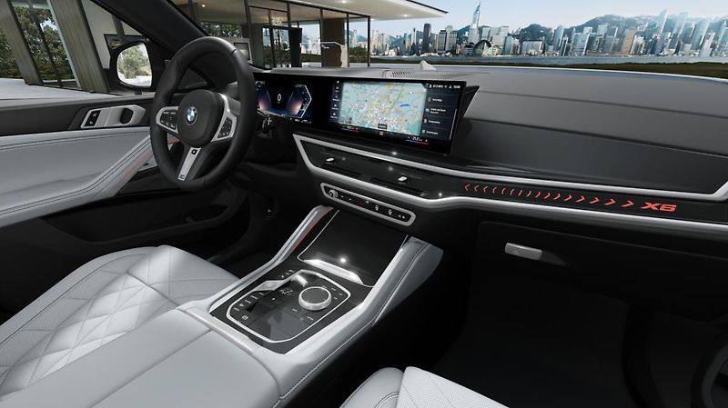 BMW X6 xDrive40i - fotka 14 z 14