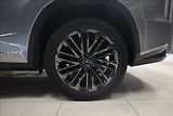 Lexus RX 3,5 AWD HYBRID 1. MAJITEL ČR - náhled 45