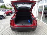Mazda CX-30 2,5 140 PS,Center-line,Z.PNEU! - náhled 8