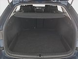 Škoda Octavia (2023) 2.0 TDI - náhled 13