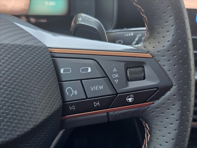 Cupra Formentor 2,0 TSi DSG 4x4 Matrix Záruka2 - fotka 16 z 23