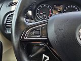 Škoda Fabia DSG 1.2TSI 81KW  PANORAMA - náhled 27