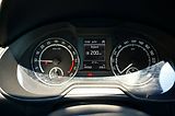 Škoda Octavia (2015) CHALLENGE RS 2,0 TDI 135 kW - náhled 33