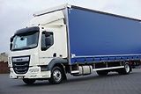 DAF LF (2021) / 260 / ACC / E 6 / FIRANKA /  - náhled 22