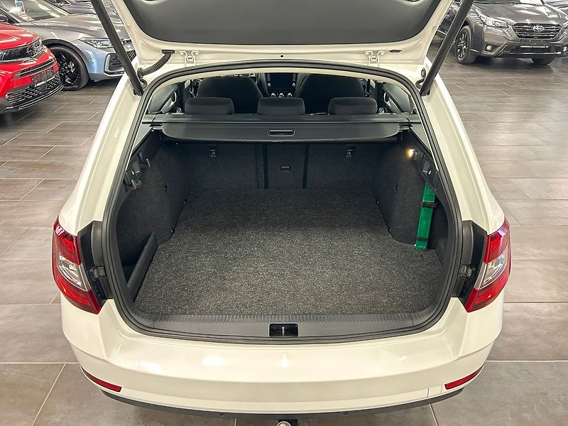 Škoda Octavia (2019) 1.5 CNG DSG Ambition 2019 | Zá - fotka 25 z 64