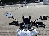 Triumph Tiger 900 GT (2026) Pro - náhled 7