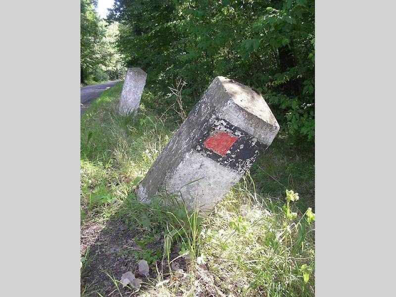 Patníky, správněji směrové sloupky, jsou nezbytným a důležitým doplňkem silničního provozu, který může i zachraňovat životy. Na silnicích se vyskytují v několika barevných provedeních.