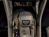 Škoda Kodiaq (2022) 2.0 TSI 140 kW DSG 4x4 L&K - náhled 17