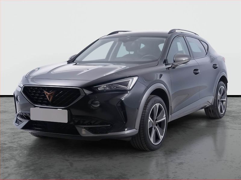 Cupra Formentor (2024) 2.0 TSI 4Drive - fotka 2 z 21