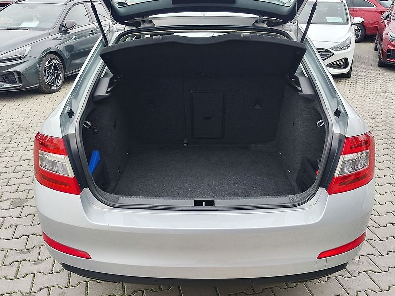 Škoda Octavia 1.6 TDI/81kW Style - fotka 9 z 28