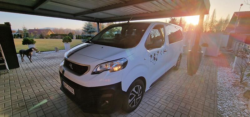 Peugeot Expert (2018) Expert traveller L2 1.6 BlueHD - fotka 1 z 18