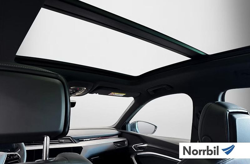 Audi Q8 e-tron 55 Q 360k 4 zóny Pano Matrix - fotka 20 z 22