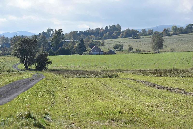 Stavba dálnice D11 v Královci 28. dubna 2025.