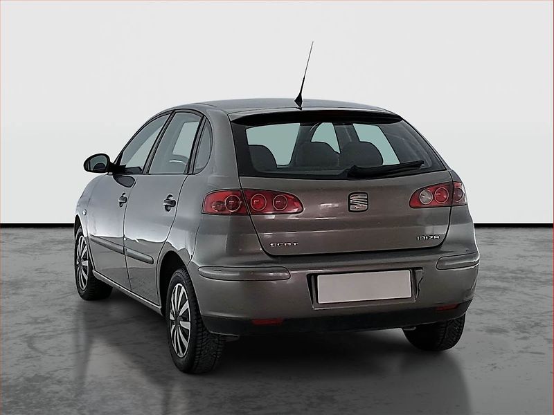 Seat Ibiza (2003) 1.4 16V, po STK, CZ doklady - fotka 4 z 16