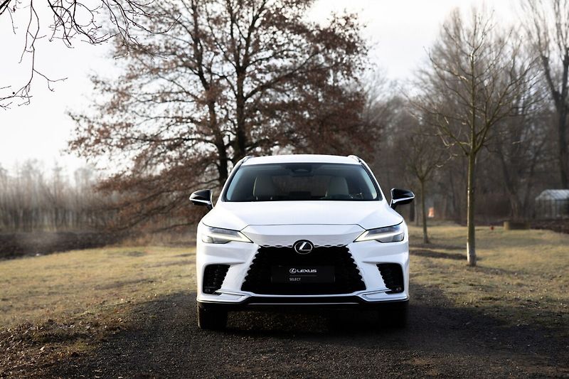 Lexus RX 450h plus 450h+ 2,5 PHEV F SPORT DESIGN - fotka 4 z 30