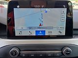 Ford Focus (2019) 1.5 TDCi, AC, temp - náhled 15