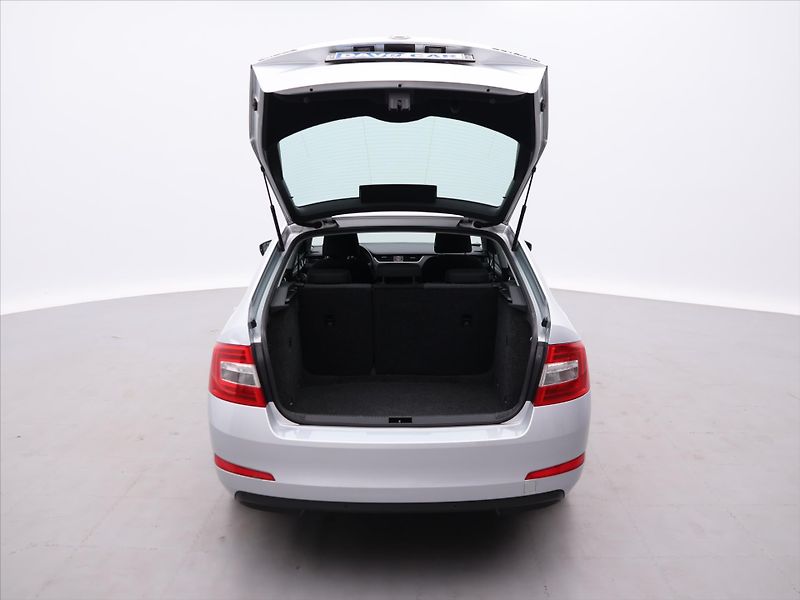 Škoda Octavia 1,6 TDI 81kW Ambition CZ - fotka 7 z 23