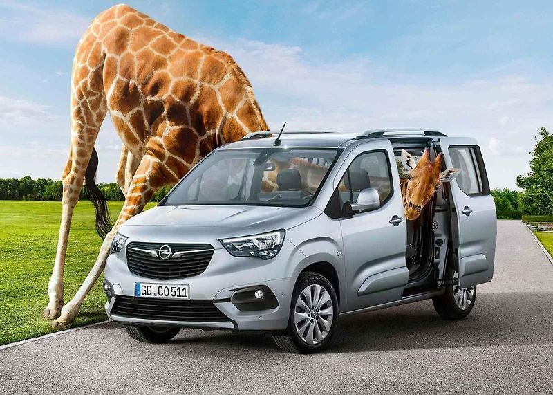 Škoda Scala uspěla jako kompaktní rodinné auto roku 2019.