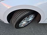 Škoda Octavia 2.0TDi 110kW DSG 1.Maj. ČR - náhled 38