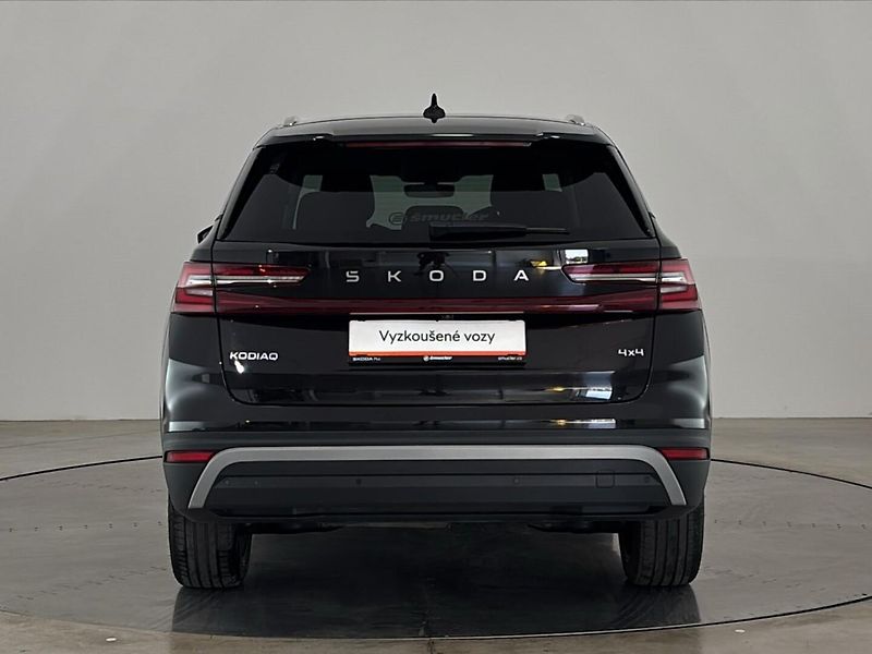 Škoda Kodiaq Exclusive Selection - fotka 17 z 31