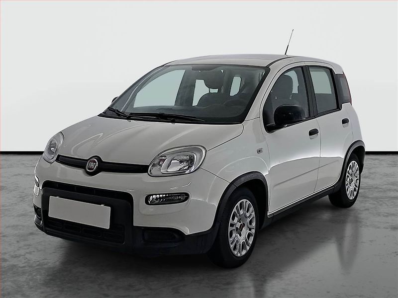 Fiat Panda (2023) 1.0 FireFly, ČR,1.maj - fotka 2 z 14