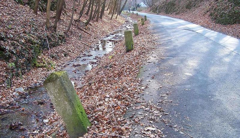 Patníky, správněji směrové sloupky, jsou nezbytným a důležitým doplňkem silničního provozu, který může i zachraňovat životy. Na silnicích se vyskytují v několika barevných provedeních.