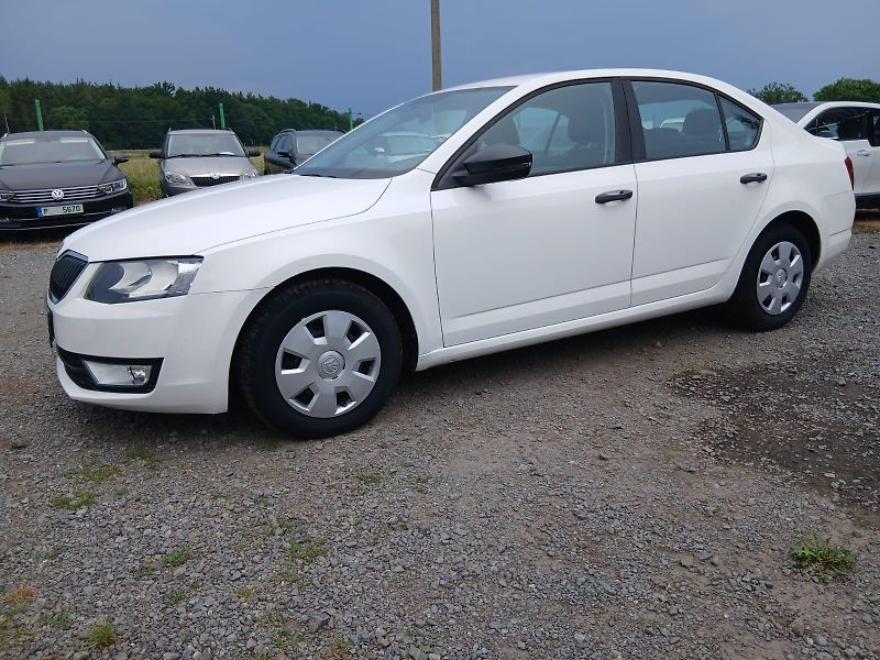 Škoda Octavia 1.6 TDI, bez koroze - fotka 2 z 39