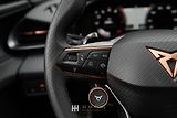 Cupra Terramar (2025) VZ 2.0 TSI 265 4DRIVE - náhled 38
