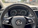 Škoda Fabia (2021) COM AMB TS 70/1.0 M5F - náhled 12