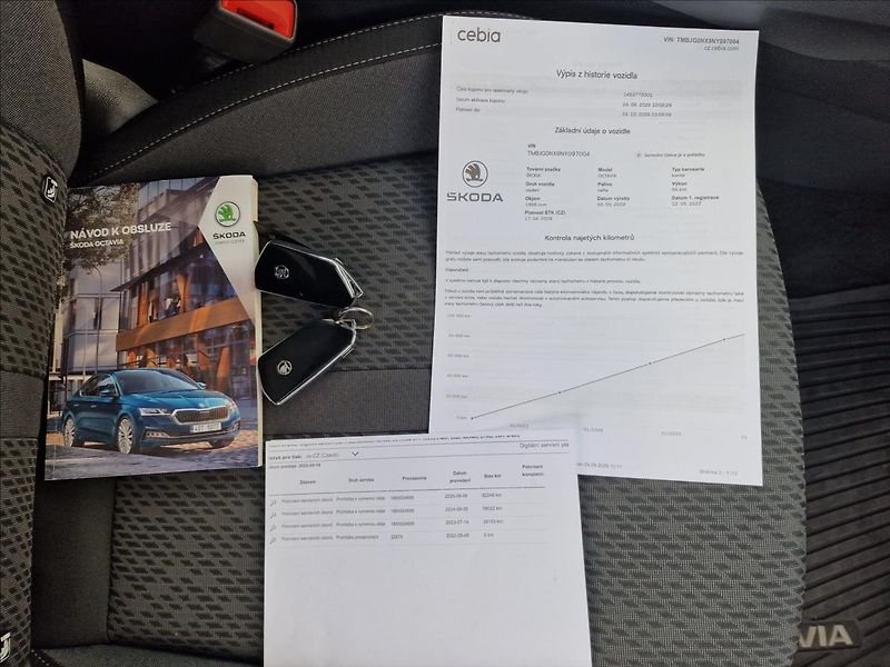 Škoda Octavia 2.0 TDI Style Combi,ČR,1.Maj. - fotka 47 z 49