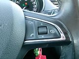 Škoda Octavia (2013) 1,4 TSI AC BT NAVI TEMP - náhled 19