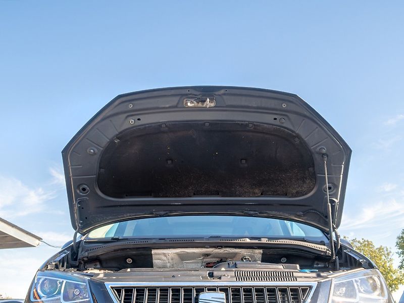 Seat Alhambra (2012) 2.0TDI 103KW 7sed–ROZVODY/PANO - fotka 48 z 59