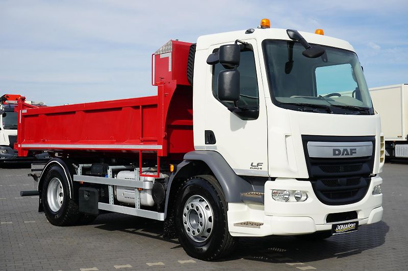 DAF LF (2019) 320 / E 6 / ACC / WYWROTKA / M - fotka 30 z 48