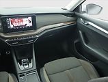 Škoda Octavia (2023) Scout 2.0 TDI, 4X4, Automat - náhled 8