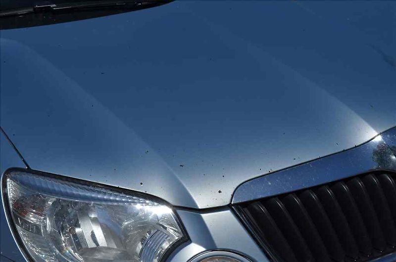 Škoda Yeti (2010) 2,0 TDI - fotka 8 z 29