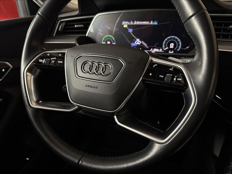 Audi e-tron 300kW S-Line Night Vision - fotka 45 z 48