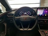 Cupra Leon (2023) SP 1.5 TSI (110kW/150k) DSG - náhled 14