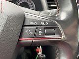 Seat Leon (2015) 2.0 TDi 4x4, X-Perience, DSG - náhled 13