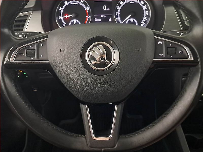 Škoda Fabia (2019) Ambition 1.0 TSI, Tempomat - fotka 17 z 22
