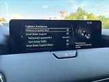 Mazda CX-60 3,3 D AT 4x4 Homura 1.ČR ZÁRUK - náhled 30
