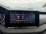 Škoda Octavia Top Selection 2.0 TDI 110kw DS - náhled 19
