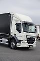 DAF LF (2019) 290 / E 6 / FIRANKA + WINDA /  - náhled 26