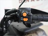Segway (2026) AT5 L EPS Limited T3B Camo   0 - náhled 9
