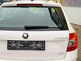 Škoda Octavia 1,6TDi SERV.KNÍŽKA,CEBIA 4x4 - náhled 46