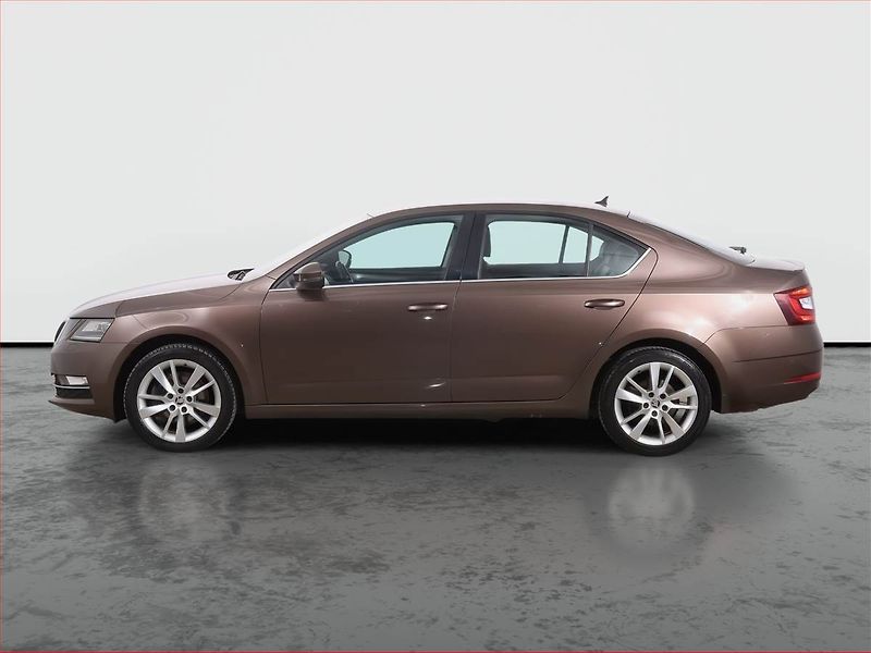 Škoda Octavia (2018) 2.0 TSI, Automat, Kůže, Navi - fotka 3 z 25