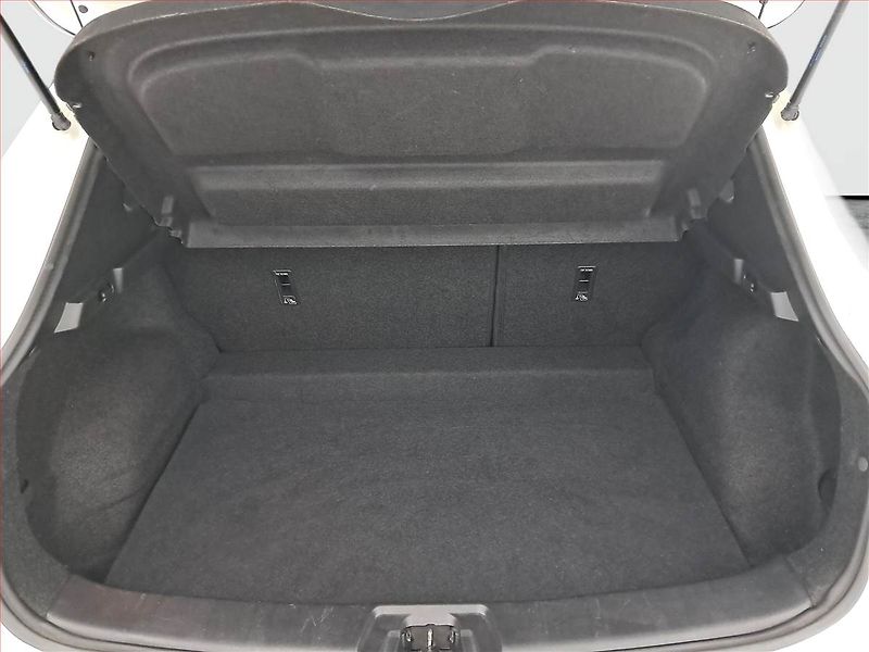 Nissan Qashqai (2018) 1.2 DIG-T, Tempomat - fotka 14 z 16